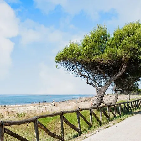 Apartment Beachfront 50m From The Sea With Balcony *